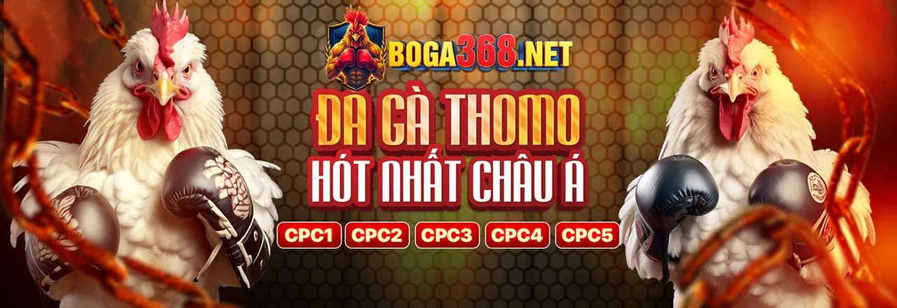 Giao diện ứng dụng 678bet hiển thị các tính năng