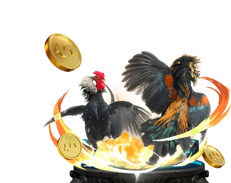 Điều kiện ưu đãi 678bet