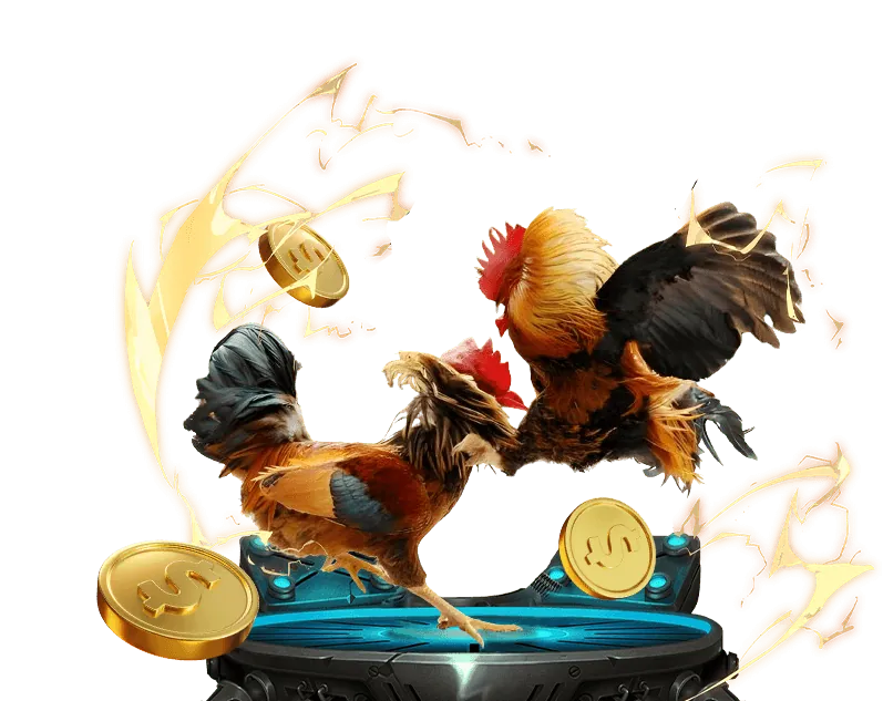 Hỗ trợ khách hàng và FAQ 678bet